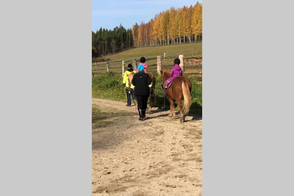 Kolin Pikkukolo - Saunallinen Studiohuoneisto Kolinkylä Kültér fotó